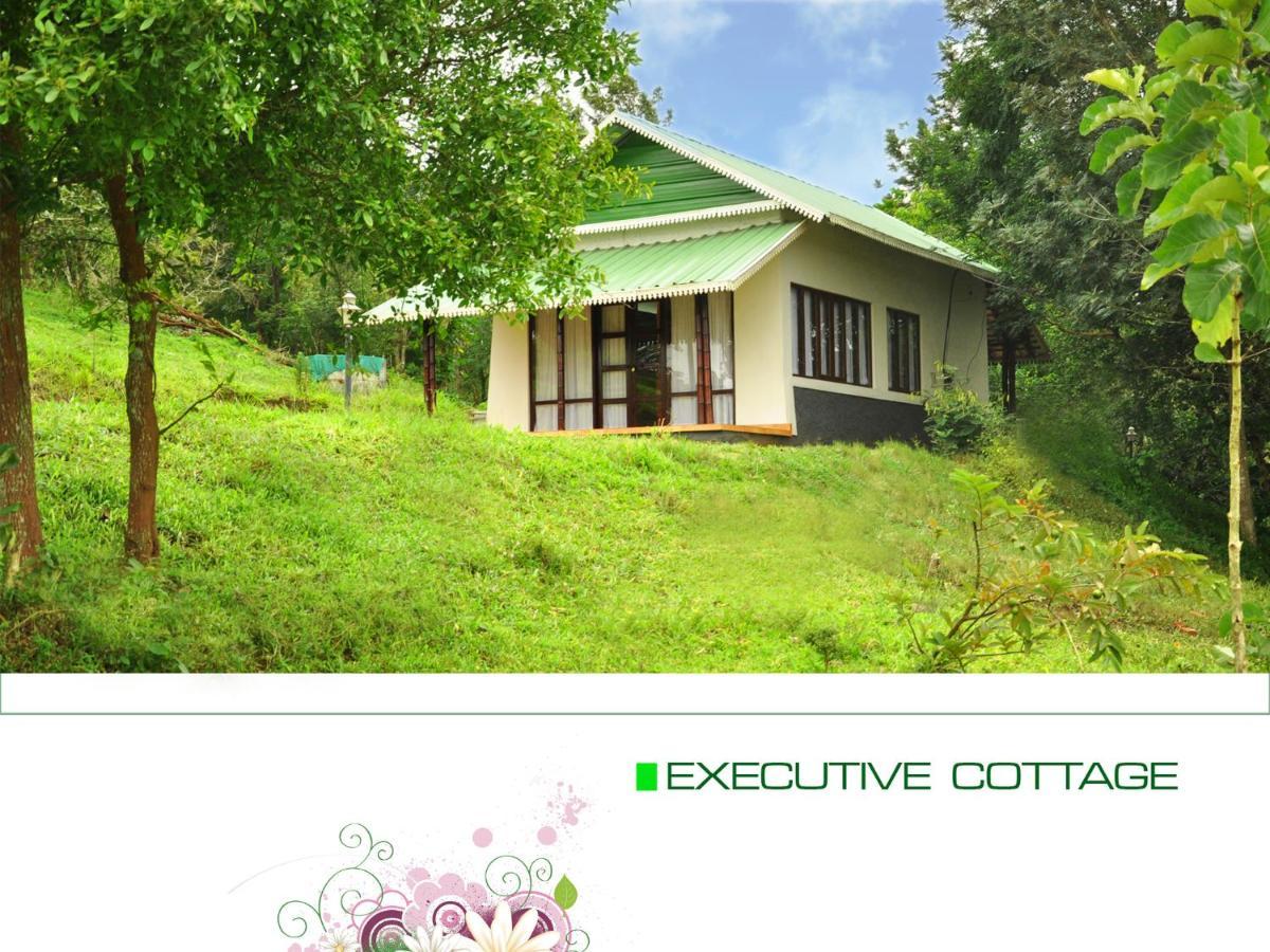 Punarjani Ayurvedic Resorts Ramakkalmedu Exteriér fotografie