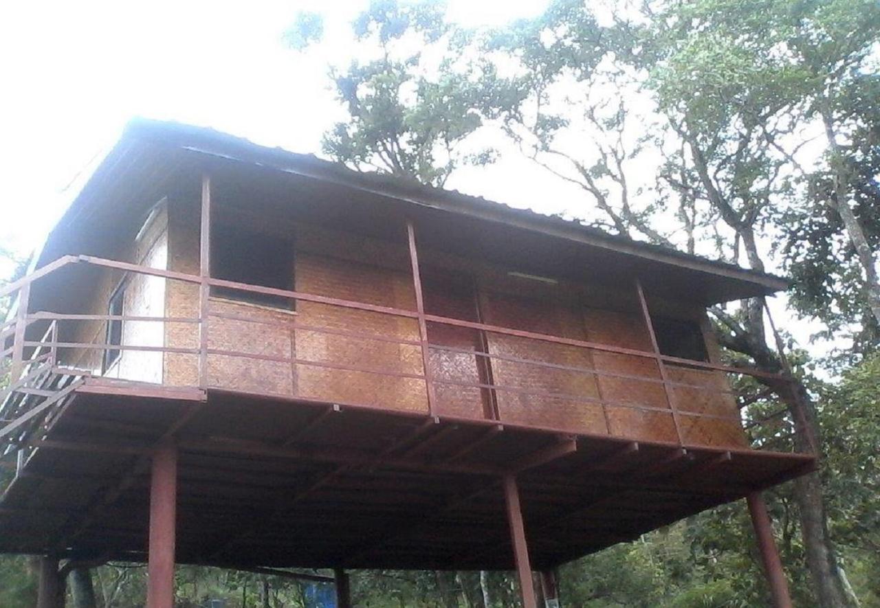 Punarjani Ayurvedic Resorts Ramakkalmedu Exteriér fotografie