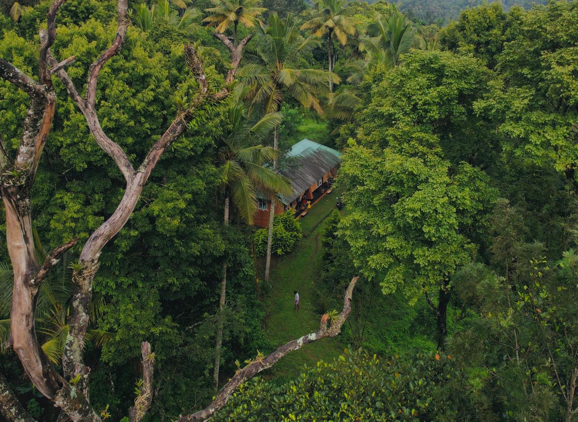 Punarjani Ayurvedic Resorts Ramakkalmedu Exteriér fotografie