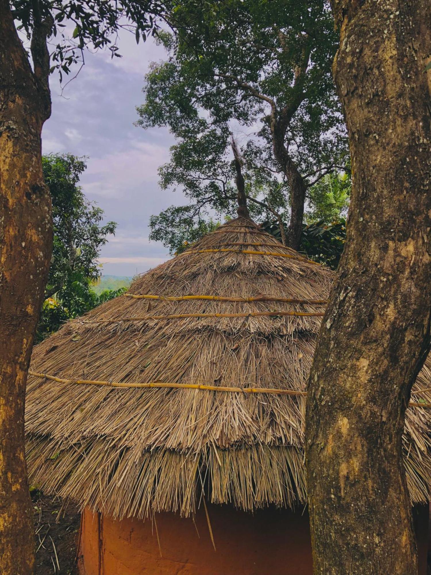 Punarjani Ayurvedic Resorts Ramakkalmedu Exteriér fotografie