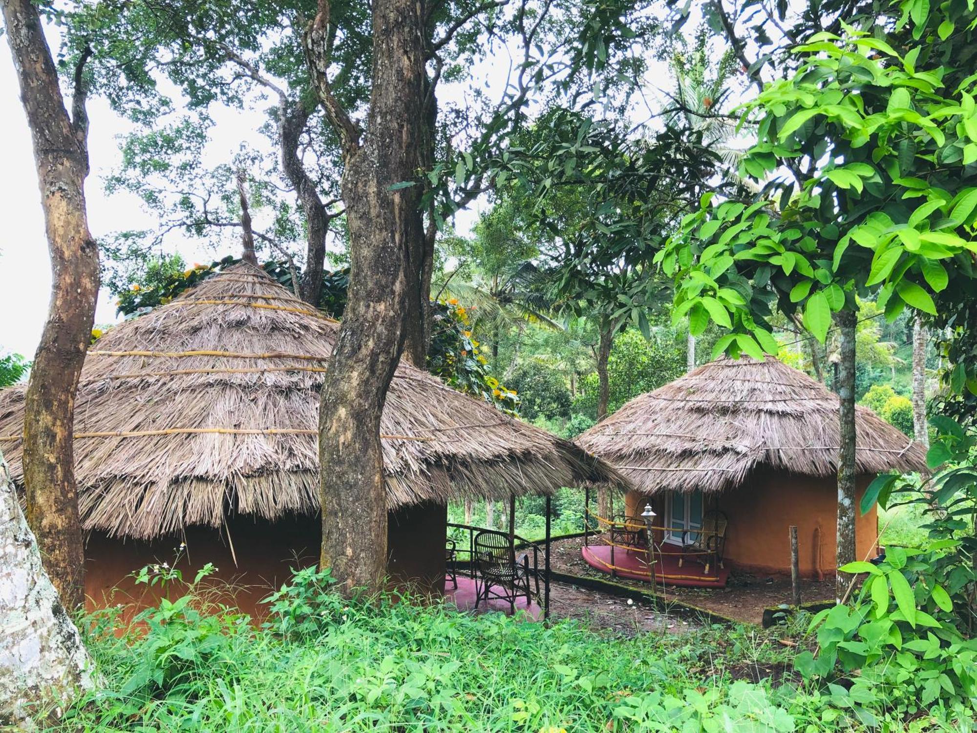 Punarjani Ayurvedic Resorts Ramakkalmedu Exteriér fotografie