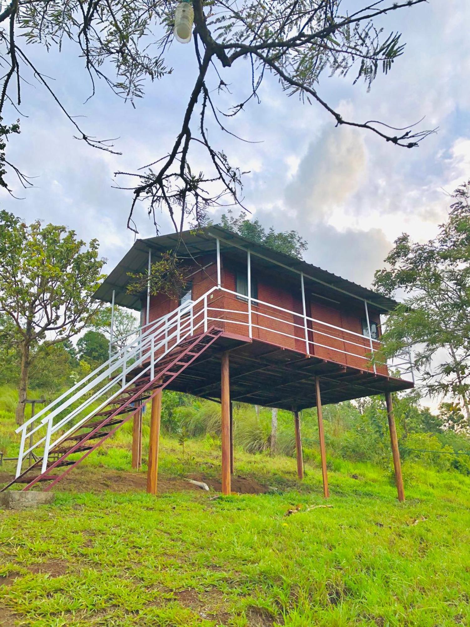 Punarjani Ayurvedic Resorts Ramakkalmedu Exteriér fotografie